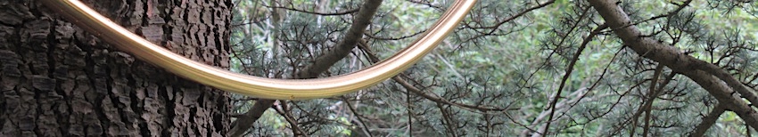 Rolf Blume im Berggarten